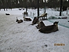 Нажмите на изображение для увеличения
Название: IMG_0234.JPG
Просмотров: 1983
Размер:	114.9 Кб
ID:	7810